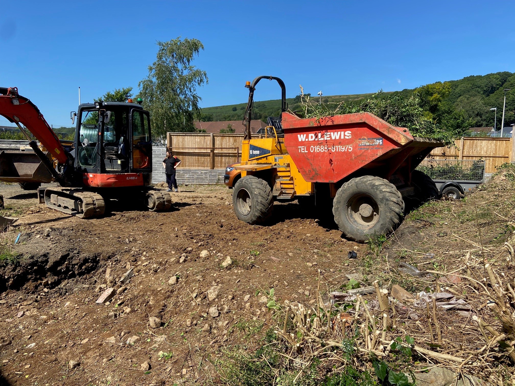 Professional hedge cutting South Wales